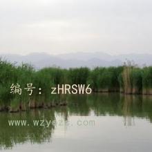 ì
