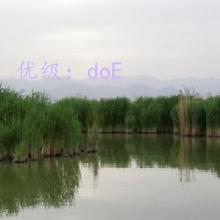 ָ