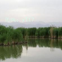 α